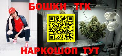 индика Дубна
