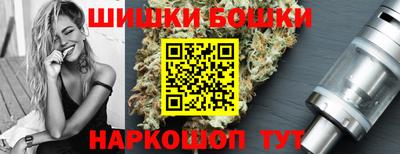 индика Дубна