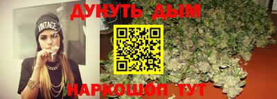 индика Дубна