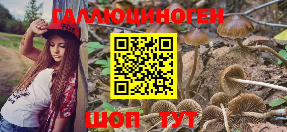 Галлюциногенные грибы прущие грибы  Галлюциногенные грибы прущие грибы  Наро-Фоминск  Вход с VPN 
